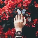 user17